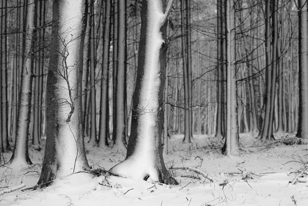 Platz 10 Michael Mayer